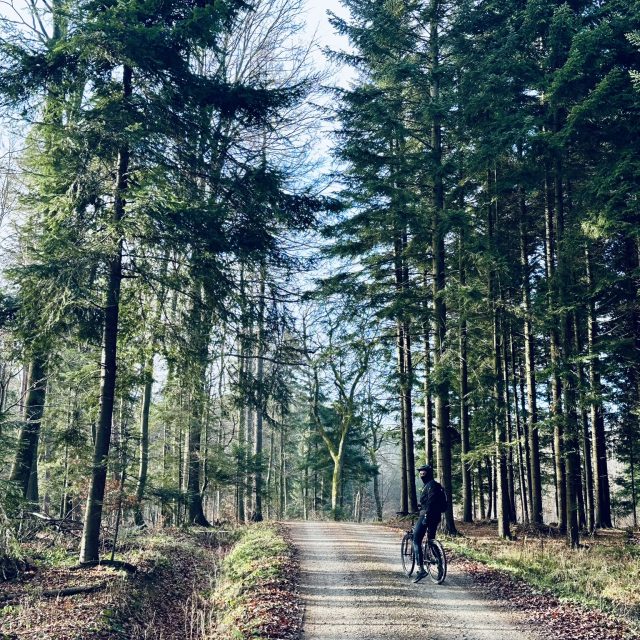 Home Efektywność spotyka technologię. Elektryczny hardtail MTB to lekkość i bezpośrednie przeniesienie mocy, idealne na szybkie leśne ścieżki oraz całodniowe wyprawy w góry.