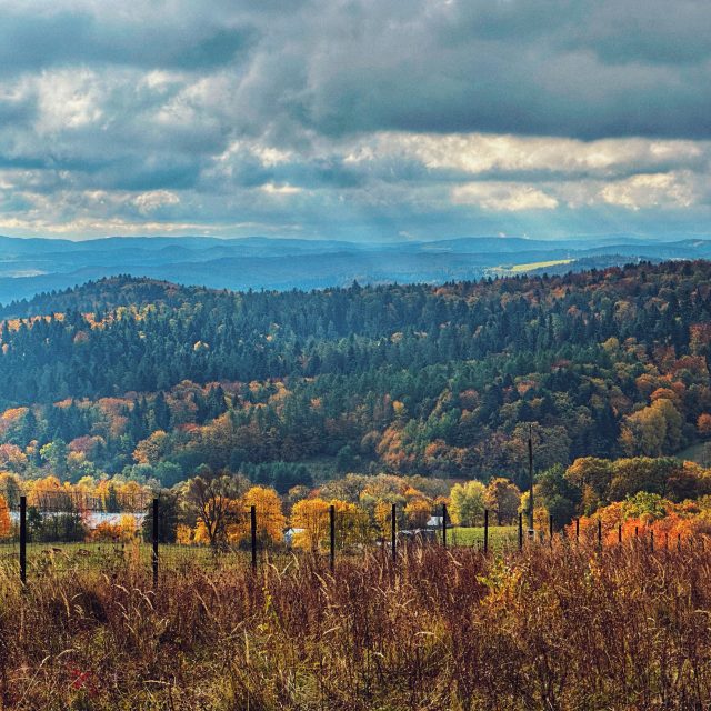 Home eMTB w górach Podkarpacia – elektryczne MTB stworzone do jazdy po stromych i naturalnych szlakach
