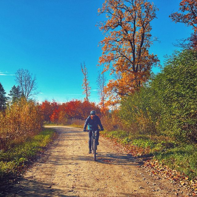 Home Elektryczne rowery eMTB Przemyśl, Podkarpacie – jazda po górach i lasach południowo-wschodniej Polski