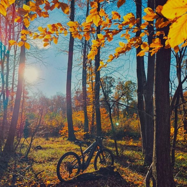 Home e-enduro, e-bike w bike parku, jazda grawitacyjna eMTB - Przemyśl