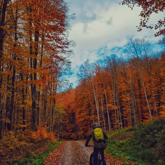 Home eMTB w Podkarpaciu – elektryczne rowery górskie MTB na leśnych i górskich trasach w okolicach Przemyśla.