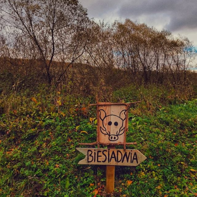 Home eMTB – elektryczny rower MTB off-road