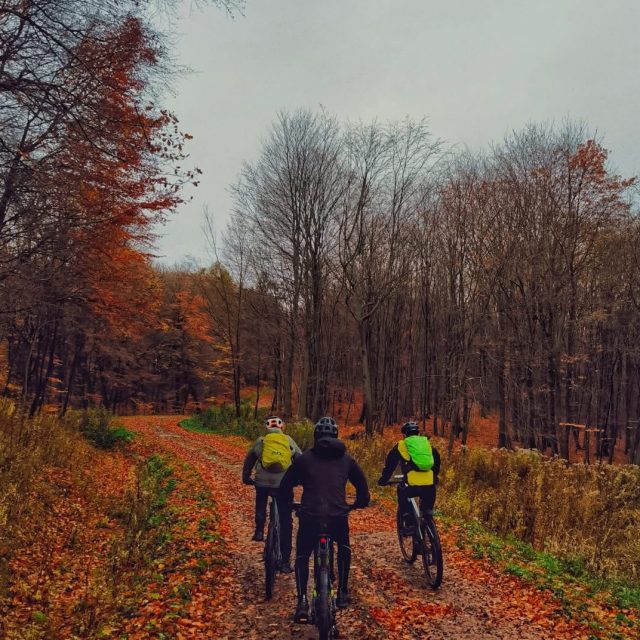 Home lektryczne rowery górskie eMTB – moc, zasięg i pełna kontrola na wymagających trasach. Idealne połączenie technologii, wydajnego silnika i sportowej jazdy w terenie