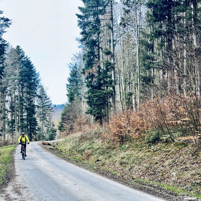 Home Moment pełnego skupienia podczas pokonywania pionowej ściany lasu. Dzięki silnikom centralnym o wysokim momencie obrotowym, chłopaki wjeżdżają tam, gdzie dotąd trzeba było prowadzić rower. To ujęcie idealnie oddaje przewagę eMTB nad klasycznym góralem w trudnym, górskim terenie