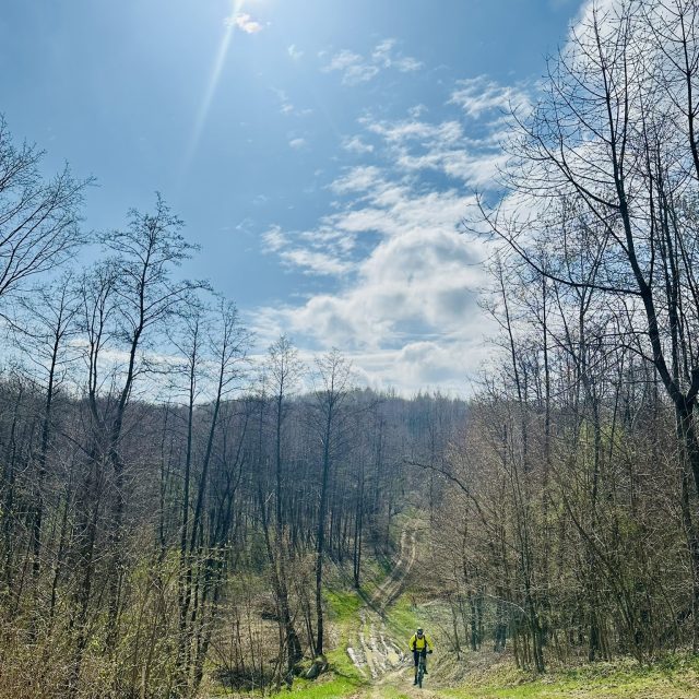 Home eMTB na stromym podjeździe w górskim lesie – elektryczny rower MTB stworzony do jazdy terenowej